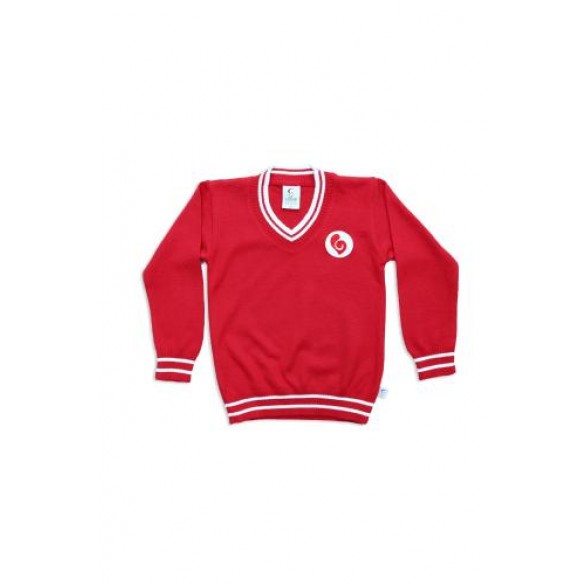 SUÉTER TRADICIONAL COLINHO