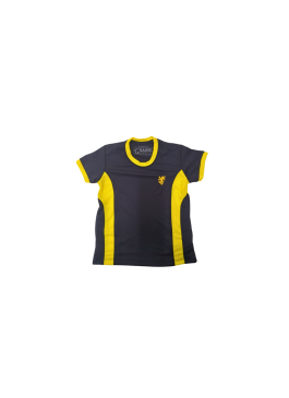 CAMISETA DRY EF BRITISH SASSE 