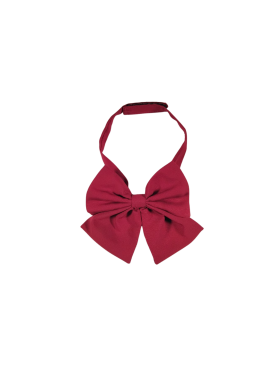 GRAVATA FEMININA VIRTUS 