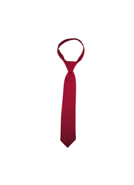 GRAVATA COM NÓ VIRTUS 